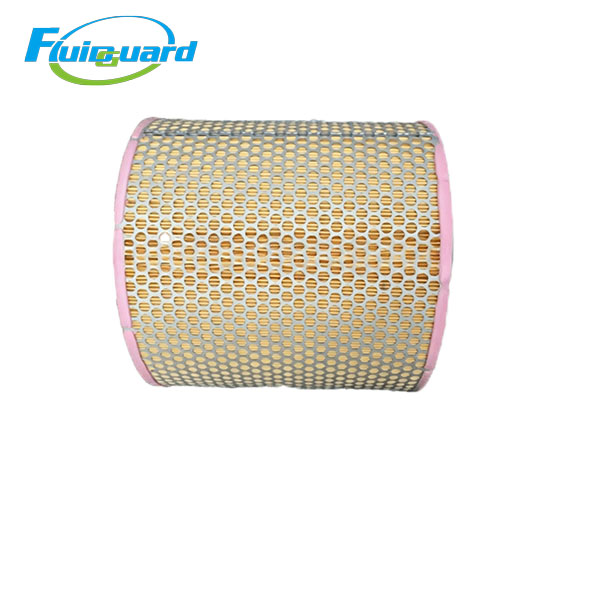 ZS1096065 Air Filter