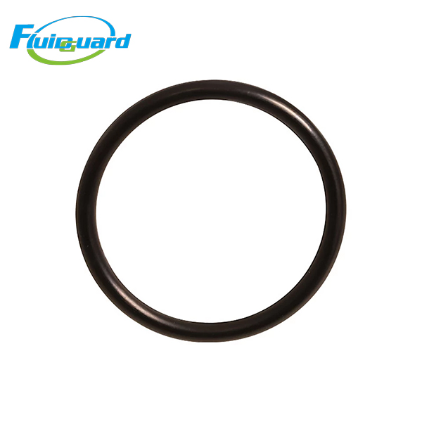 0663713200 O-Ring