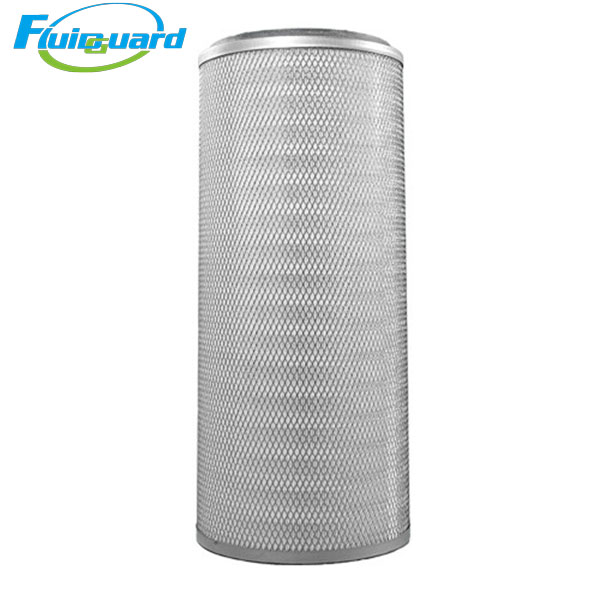 C36011/2 Air Filter