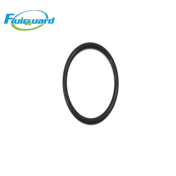 0663313000  O-Ring 