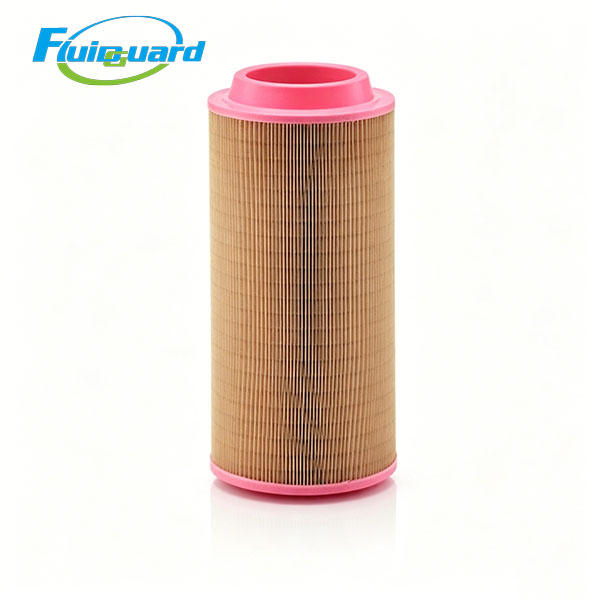 C3020007 Air Filter