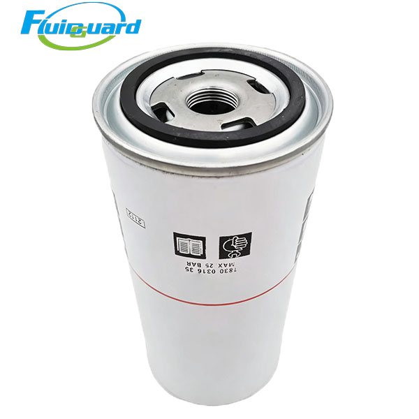 1094883100 Oil Filter
