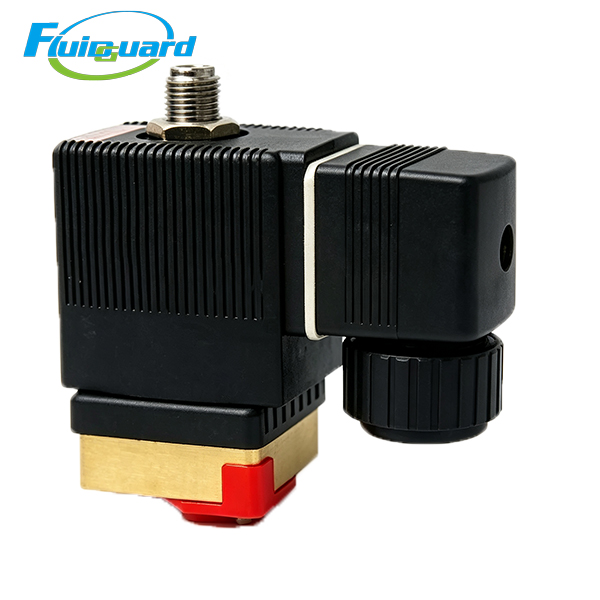 1089062021 Solenoid Valve