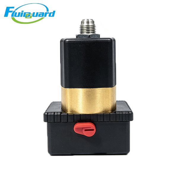 00169596 Solenoid Valve