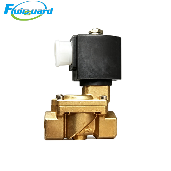 39530852 Solenoid Valve