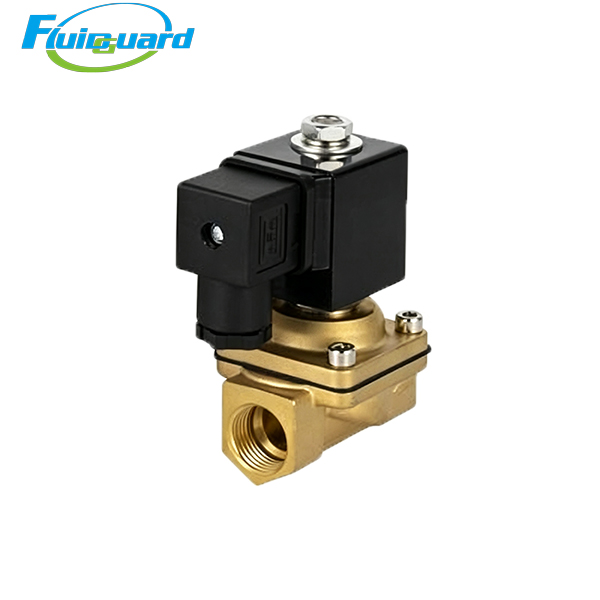1089062199 Solenoid Valves