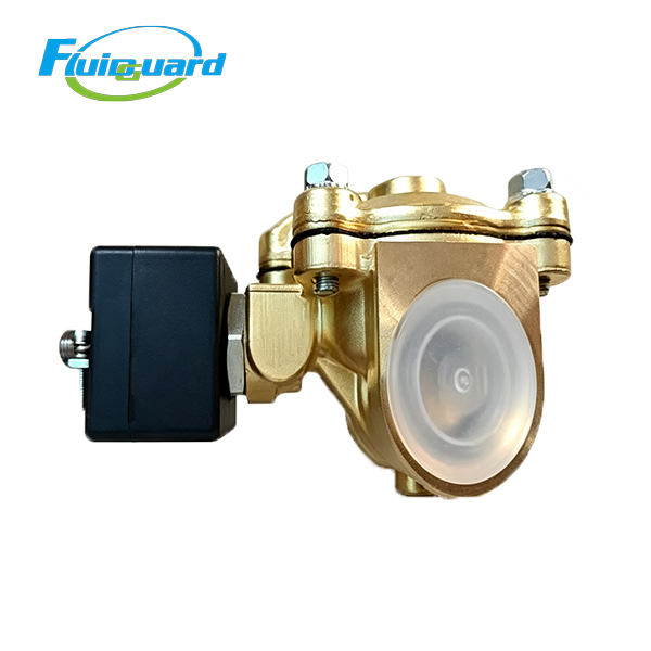 1623249500 Solenoid Valve