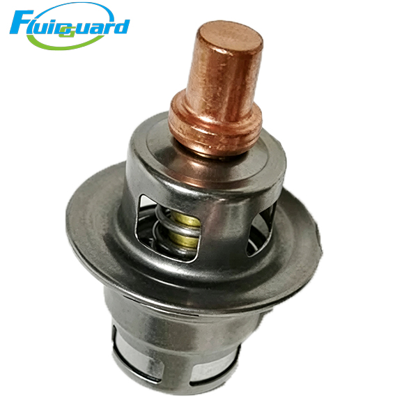 2906907701 Thermostatic Valve