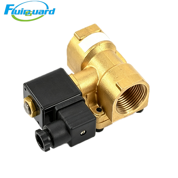 22205462 Solenoid Valve