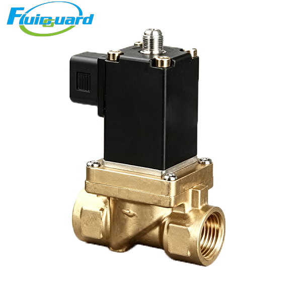 644006101Р Solenoid Valve