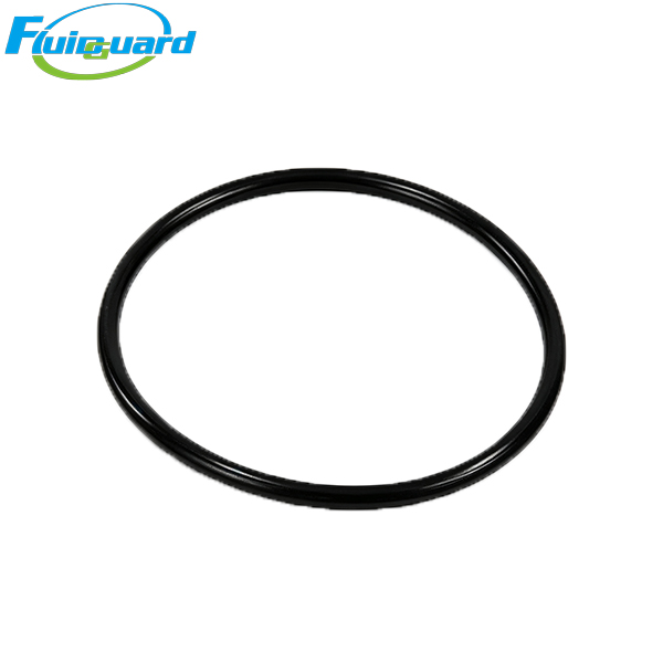 0663713700 O‑RING