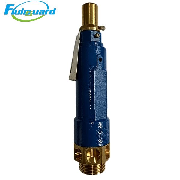 0830100720 Safety Valve