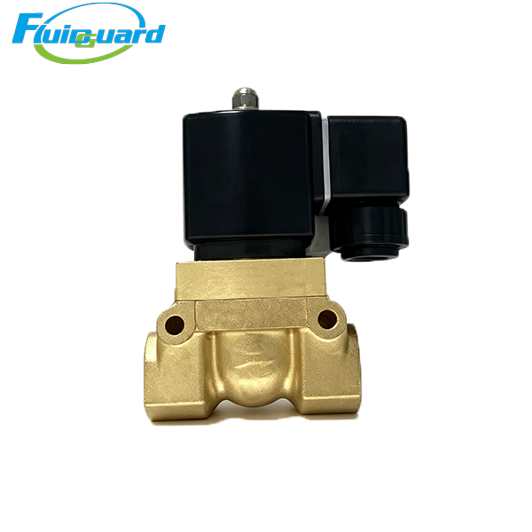 2205404301 Solenoid Valve