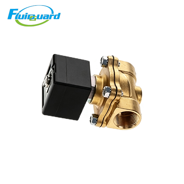 1089064111 Solenoid Valves