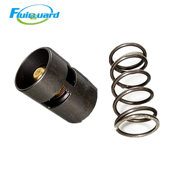 1613706401 Thermostatic Valve