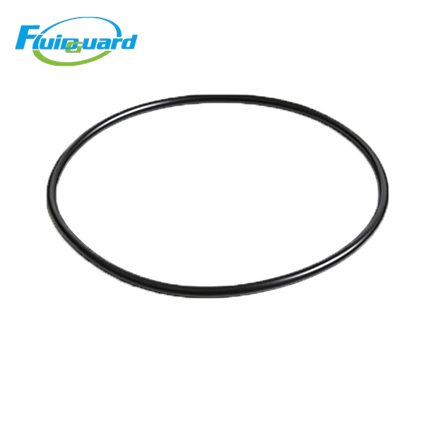 0663210611 O‑Ring