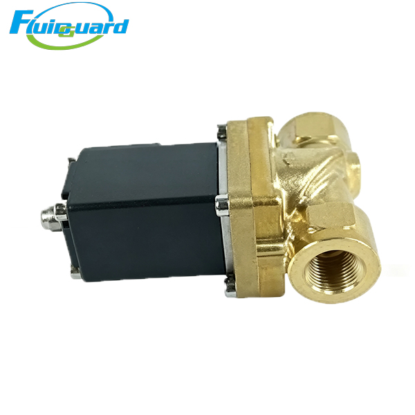 100008869 Solenoid Valve