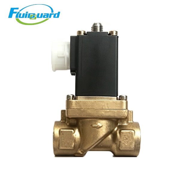 ZS1067160 Solenoid Valve